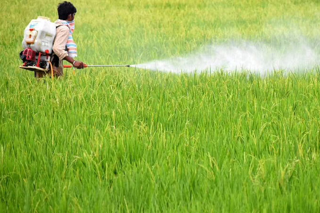 Task force to be formed to study effects of chemical pesticides & fertilizers on humans