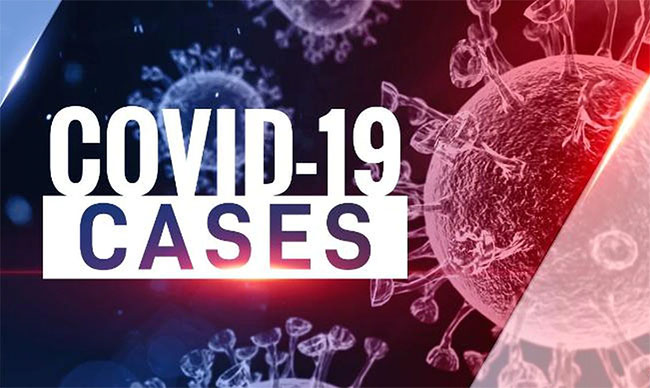 Daily count of new coronavirus cases hits 551