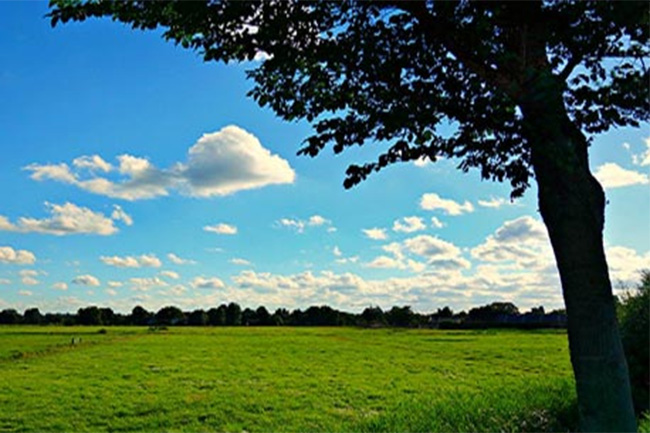 Fair weather expected in most parts of the island today