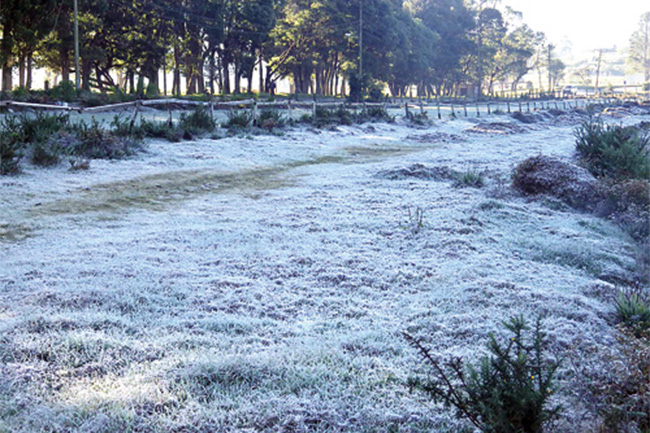 Ground frost likely in Nuwara-Eliya District today