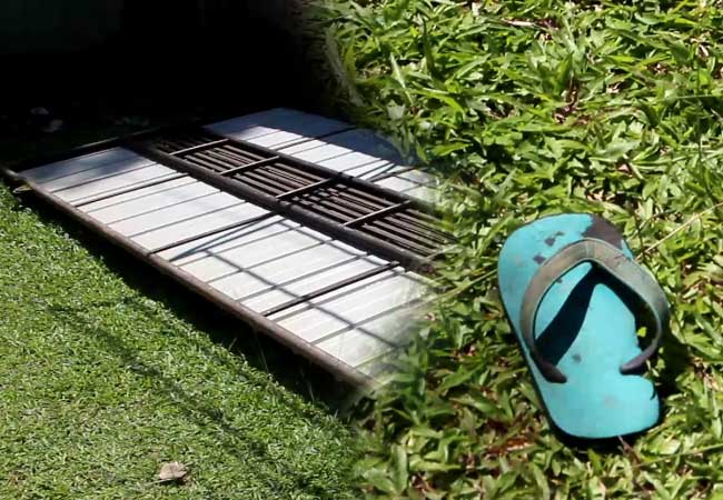 Three-year-old girl dies after gate collapses