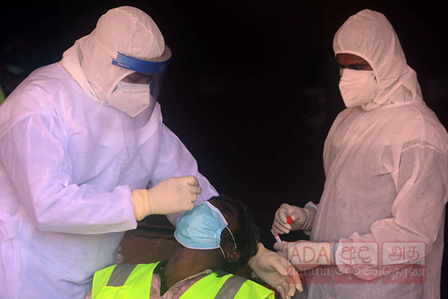 Sri Lanka reports 529 new cases of coronavirus