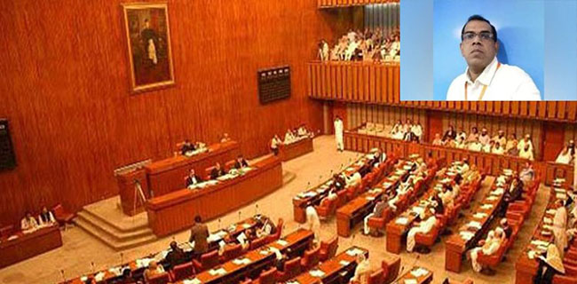 Pakistan Senate passes unanimous resolution condemning Sialkot lynching