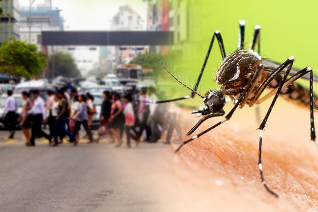 Sri Lankan health officials issue warning over malaria risks
