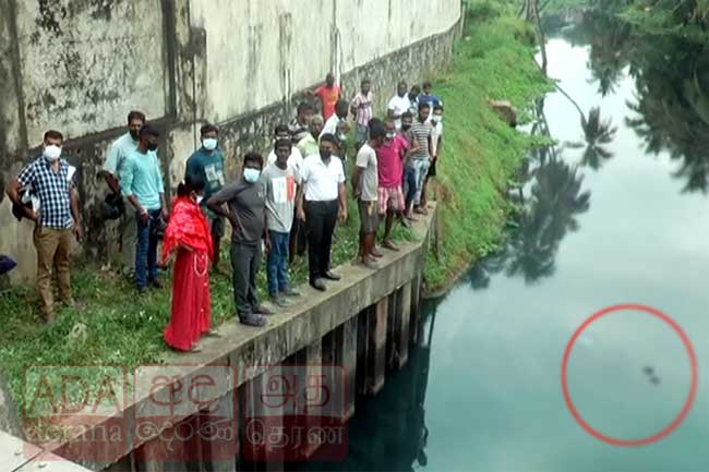 Body found floating in canal at Kolonnawa