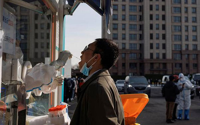 NeoCovs potential danger to humans needs further study, says WHO