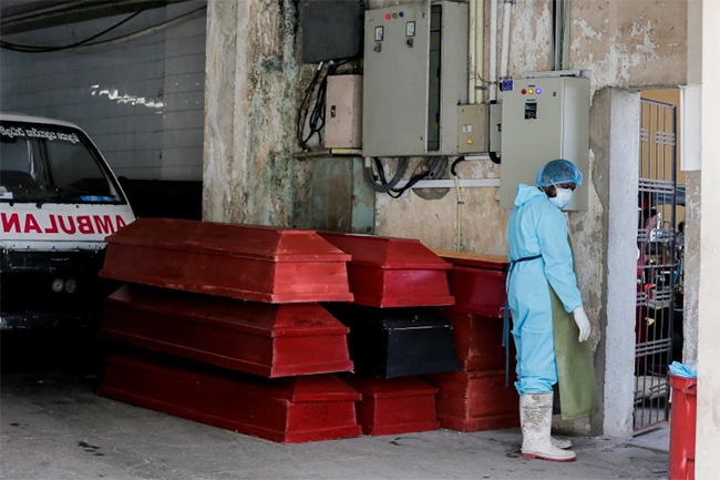 COVID deaths move up as 29 more patients succumb to infection