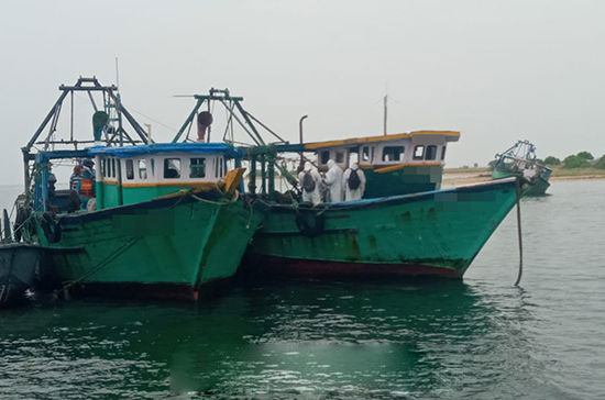 12 Indian fishermen arrested for poaching in Sri Lankan waters