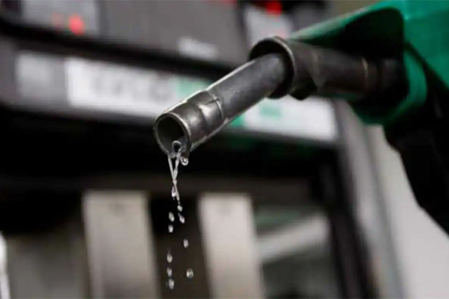 Energy Minister calls for removal of taxes on fuel