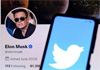 Elon Musk strikes deal to buy Twitter for $44bn