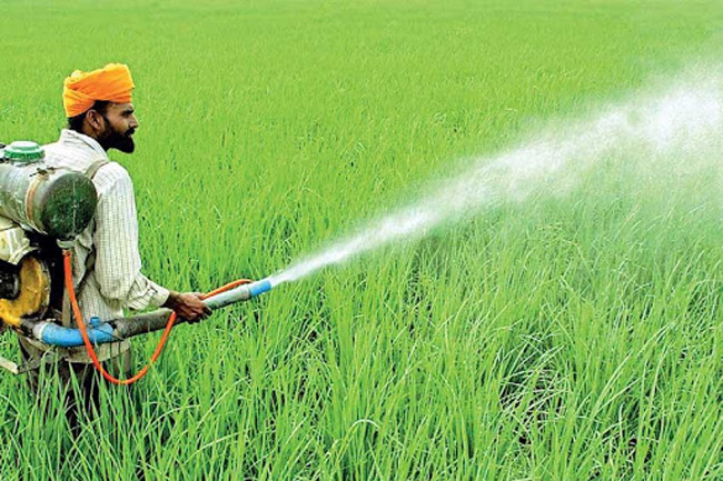 Farmers to receive chemical fertilizer for Rs. 10,000 per bag