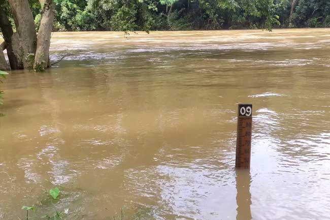 Water levels of several rivers on the rise as heavy rains prevail