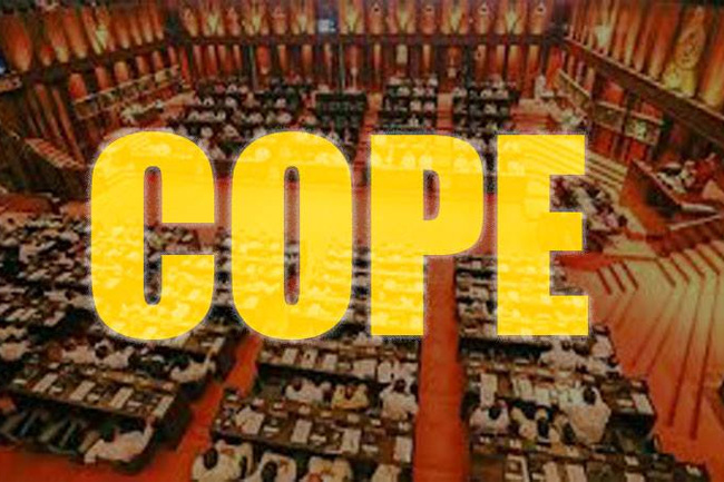 COPE to look into CEBs performance 