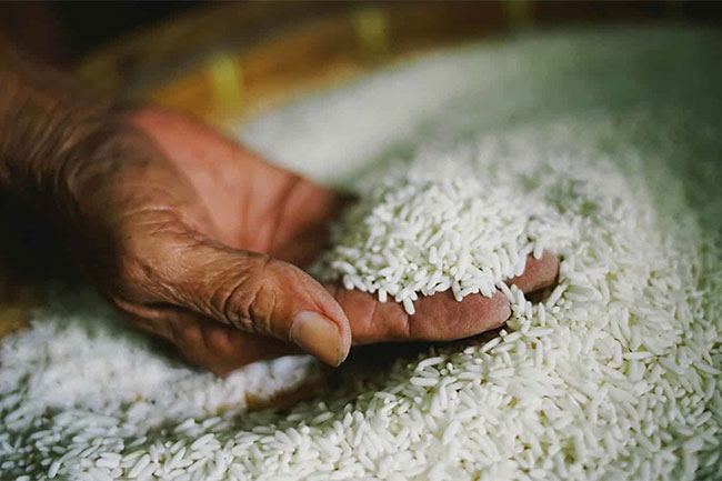 Govt to import 50,000 MT of rice to avert possible shortage