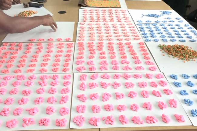Ecstasy pills worth nearly Rs. 130 Mn seized at Central Mail Exchange