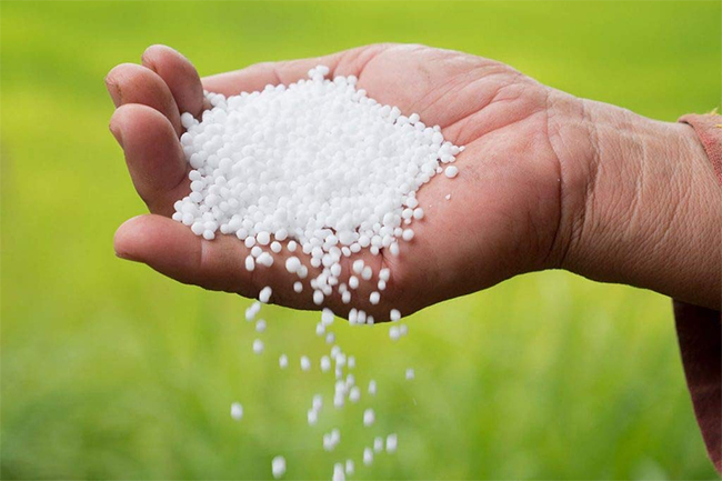Distribution of urea shipment from India begins today