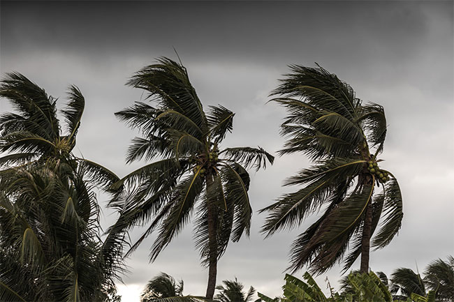 Showery and windy conditions likely to enhance during next few days
