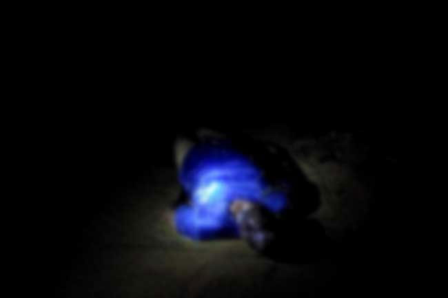 Unidentified body found in Galle Face beach