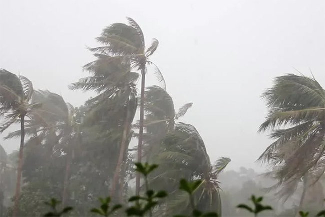 Heavy rains and strong winds to continue in parts of the island