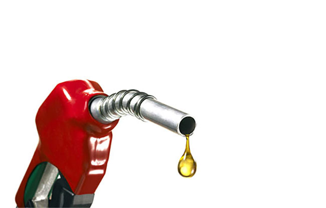 Govts decision on fuel price revision