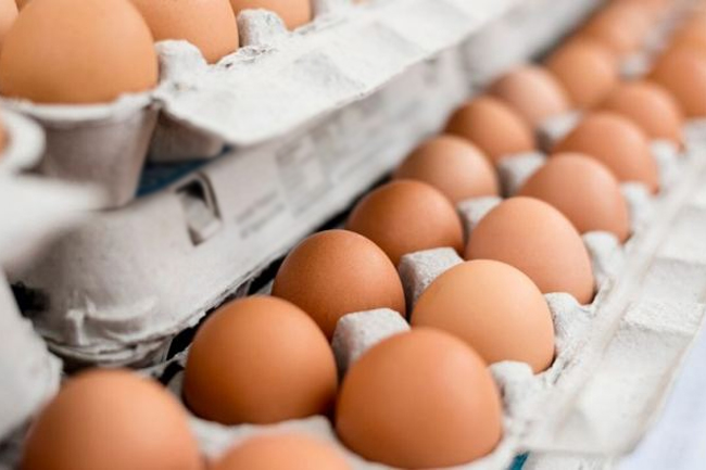 Price of an egg to be slashed by Rs. 5