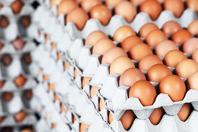 CAA continues raids on vendors selling eggs at higher prices