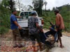 Another leopard dies after caught in trap
