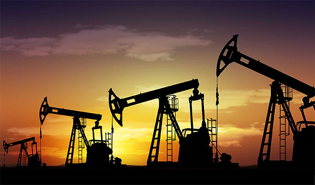 24 foreign companies submit proposals to engage in petroleum business in Sri Lanka