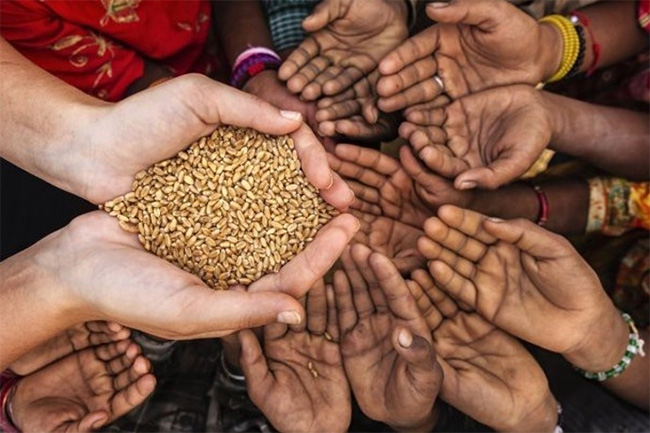 WFP says three in 10 Sri Lankans are food insecure