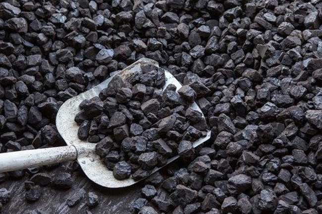 Public Finance Committee to probe allegations into coal term tender