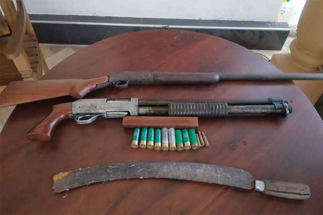 Suspect nabbed with two firearms and ammunition