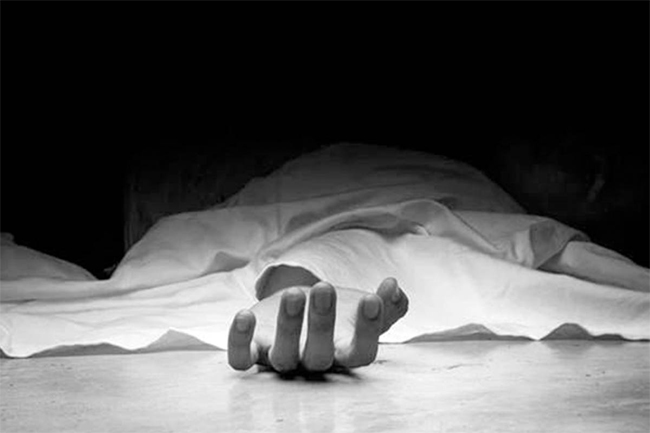 Estate worker killed in wasp attack in Kotmale
