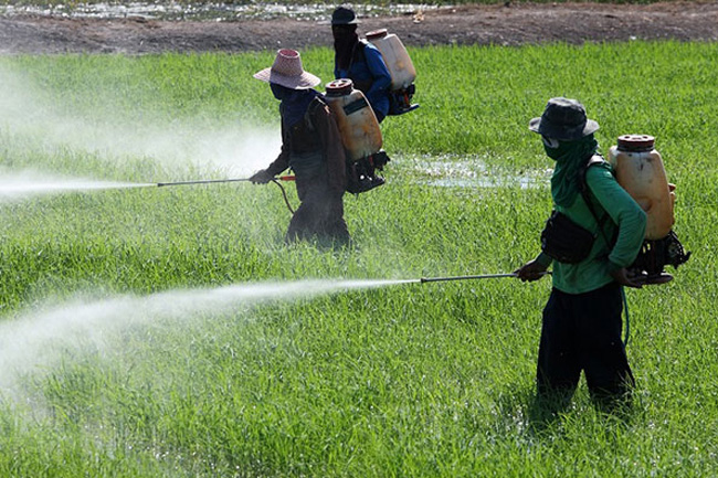 Cabinet approves Glyphosate import for 6 months for all agricultural activities