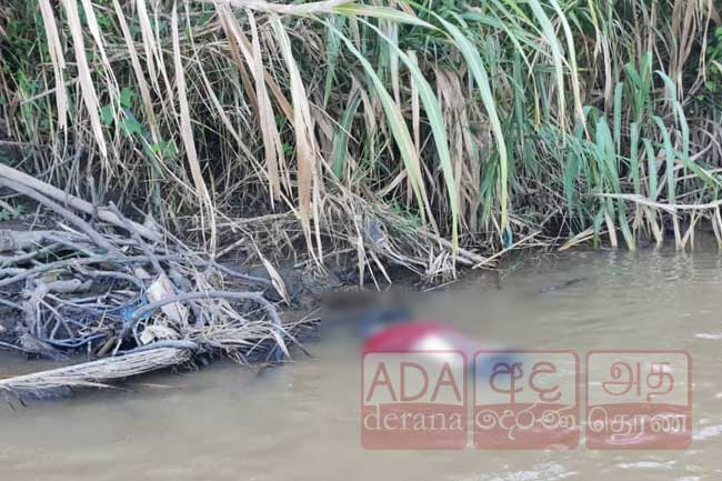 Two unidentified bodies recovered in Walapane