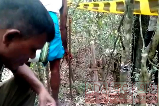 Man killed by trap gun while hunting 