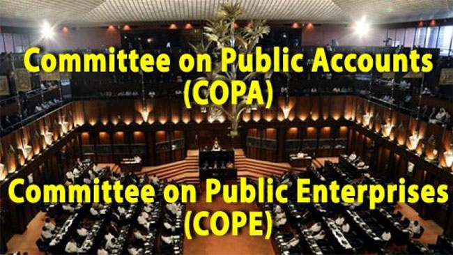Speaker announces names of MPs nominated to COPA and COPE