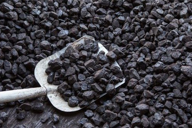 Tender procedure not followed in coal procurement process: audit report