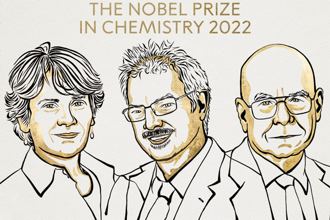 Bertozzi, Meldal and Sharpless win 2022 Nobel Prize in Chemistry