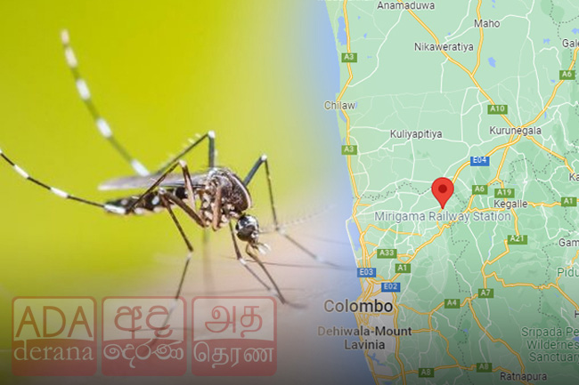 Two new mosquito species identified within Sri Lanka