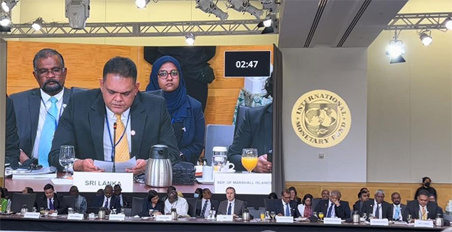 Sri Lanka says many countries cannot address climate risks and financial risks on their own