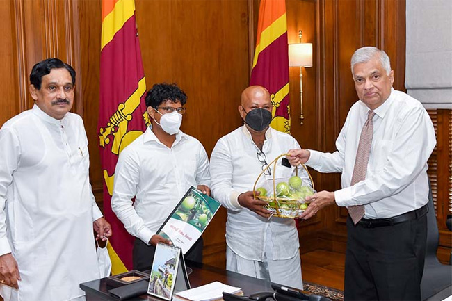 Maiden apple harvest produced in Sri Lanka presented to President