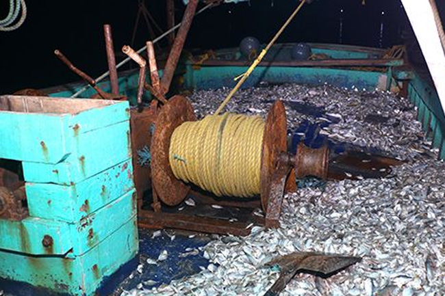 Navy intercepts Indian trawler poaching in Sri Lankan waters
