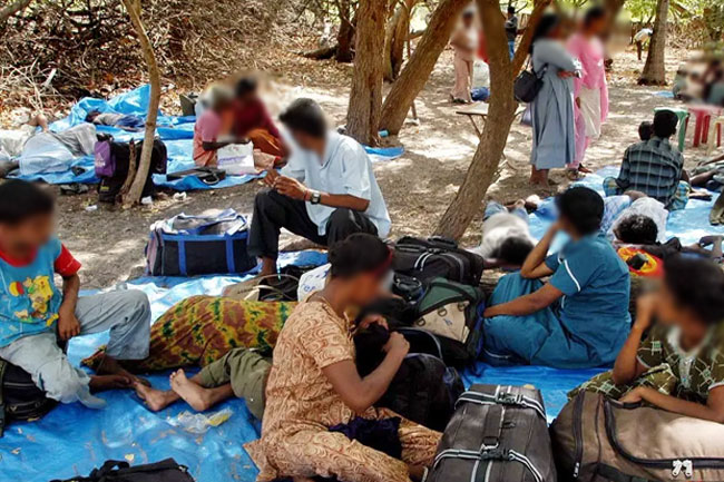 48 Sri Lankan refugees to get Indian passports: Tamil Nadu Minister 
