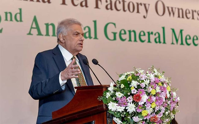 Steps to revive Sri Lankas tea industry through a formal plan  President
