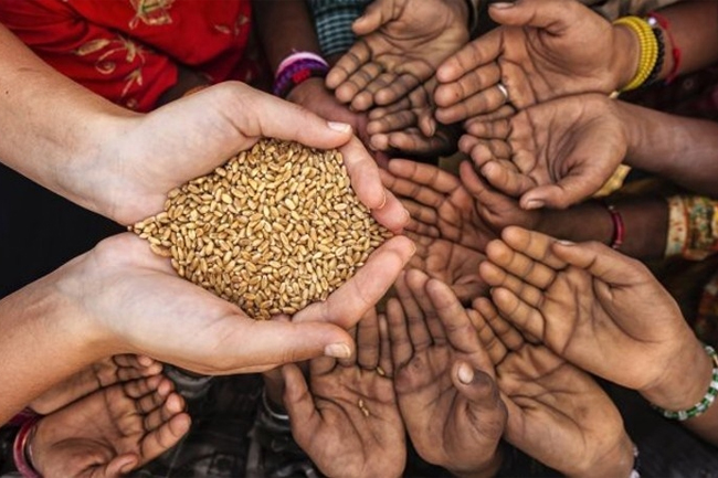 Committee to be appointed to formulate national policies related to food security