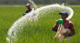 Vessel carrying 9,000MT of urea fertilizer reaches Colombo