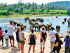 Sri Lanka’s tourism earnings surpass USD 107 mn in Nov.