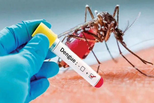 Dengue cases in Sri Lanka on the rise again