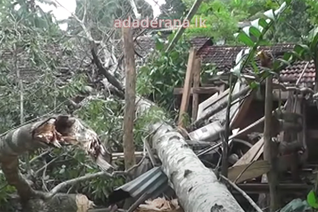 Three dead, many houses damaged as cyclone “Mandous” advances