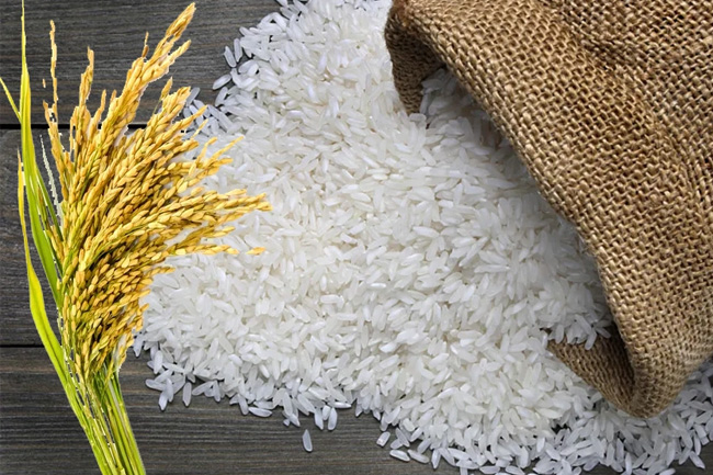 Gazette issued banning import of rice